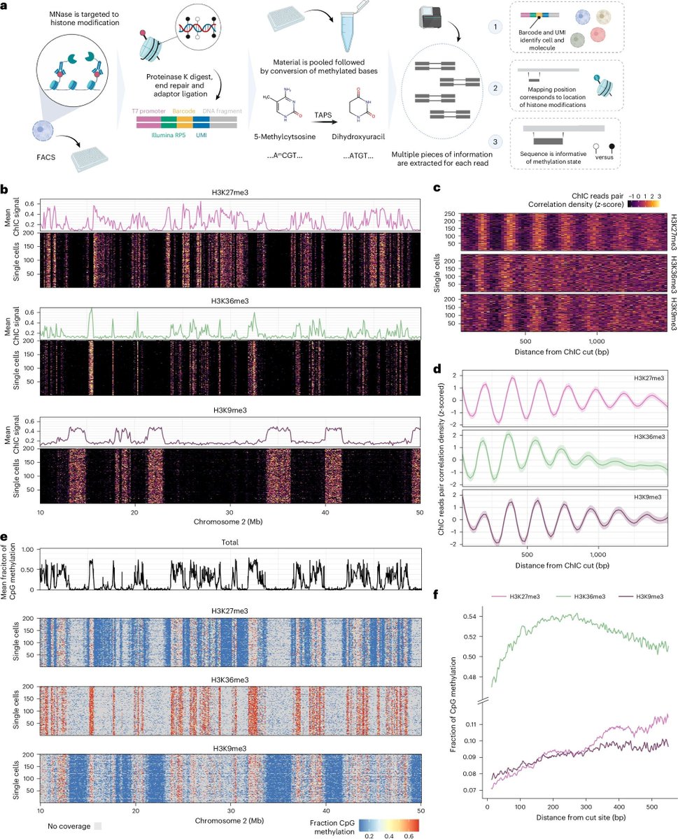 Single-cell multi-omic detection of DNA methylation and histone modifications reconstructs the dynamics of epigenomic maintenance. #SingleCell #MultiOmics #DNAmethylation #Epigenomics <a href="/naturemethods/">Nature Methods</a> 
nature.com/articles/s4159…