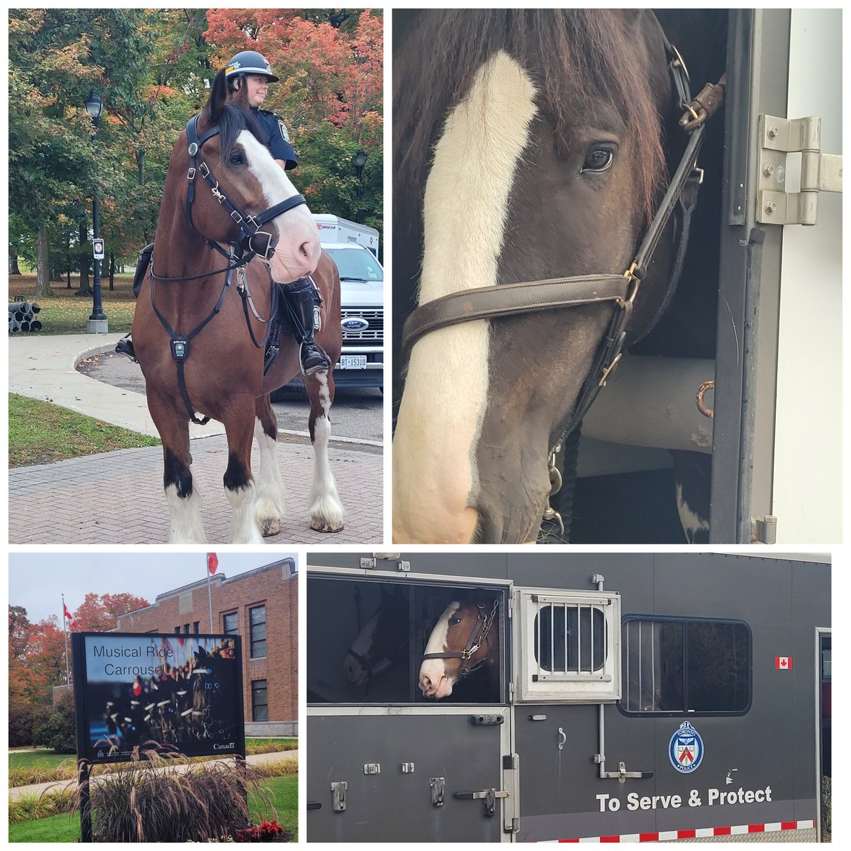 This weekend, Mounted Units from RCMP, Toronto, Hamilton, York, Calgary, Montréal, Halifax, Anishnabek, and <a href="/OttawaPolice/">Ottawa Police</a> are training together ahead of the <a href="/CPPOM/">Canadian Police & Peace Officers Memorial</a>. Thanks to <a href="/TorontoPolice/">Toronto Police</a> Mounted for planning the #Canmount event and the <a href="/rcmpgrcpolice/">RCMP</a> Musical Ride for hosting.