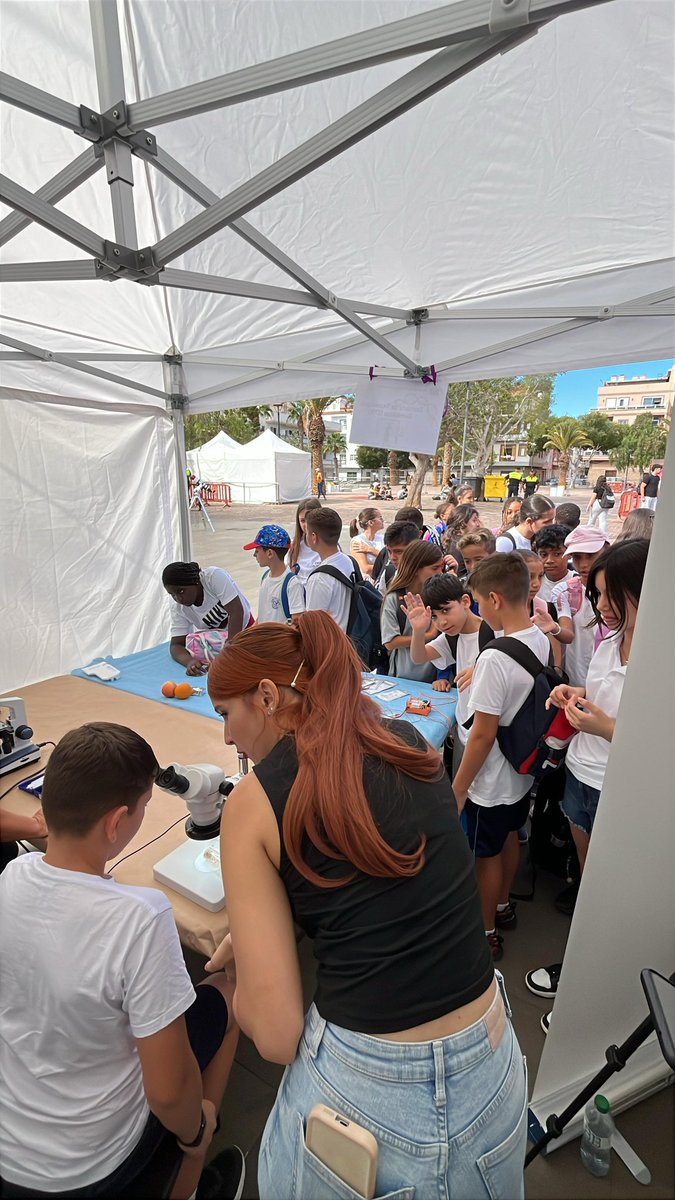 Instituto de Tecnologías Biomédicas tweet media