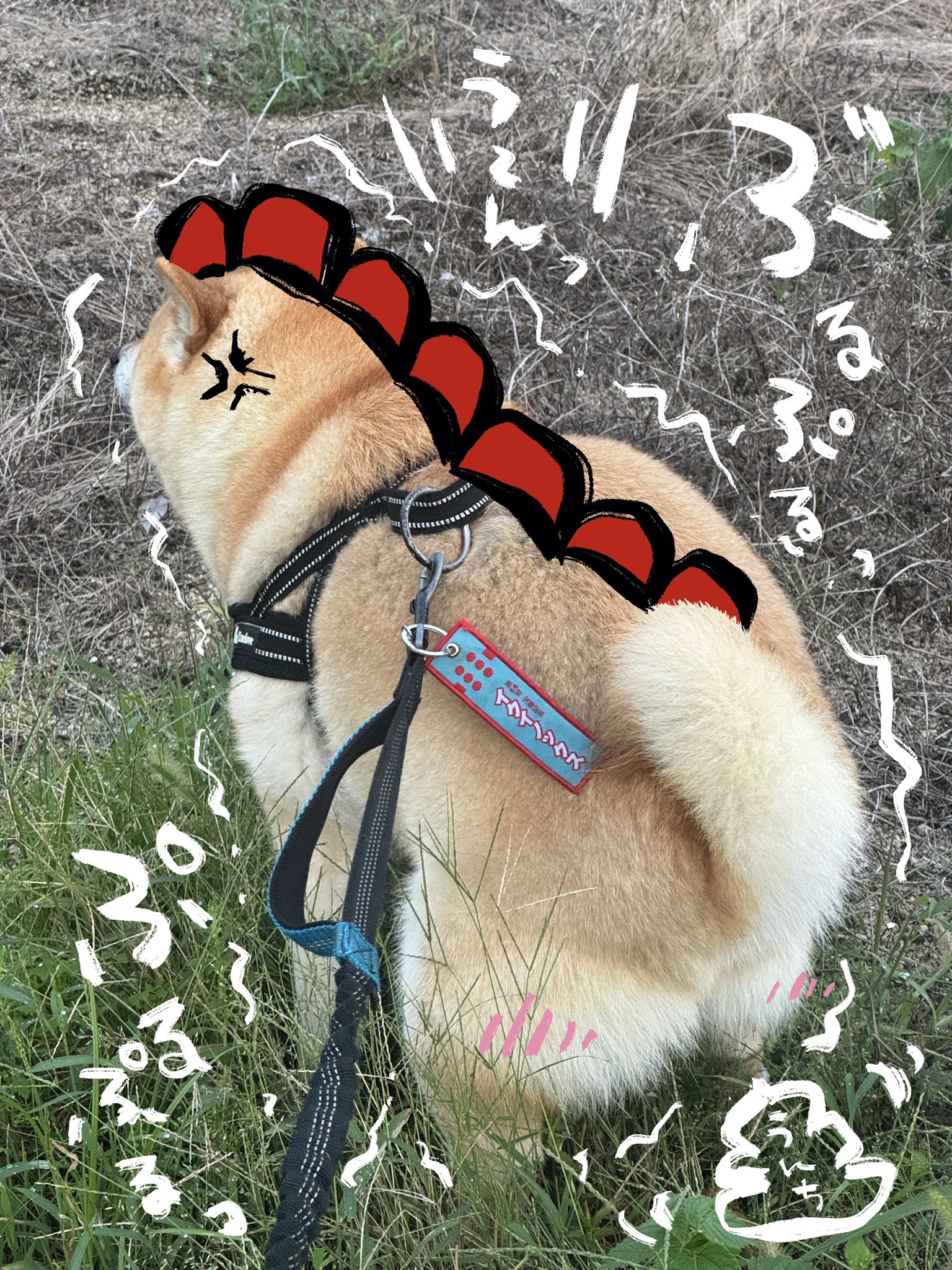 zaoweixingzi様❤️おまとめ専用ページです。10/30まで♡ zaoweixingzi様❤️おまとめ専用ページです。12/12日まで