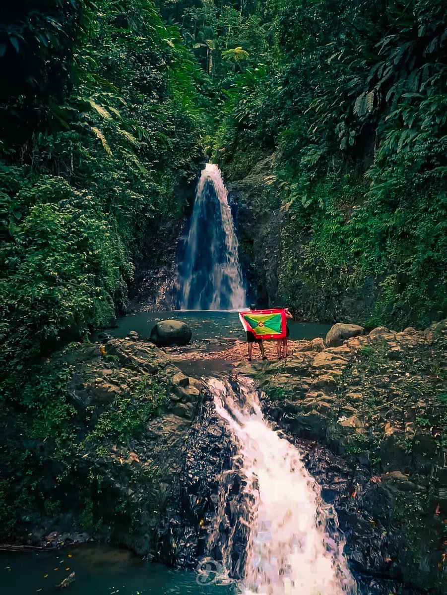 Pure Grenada tweet media