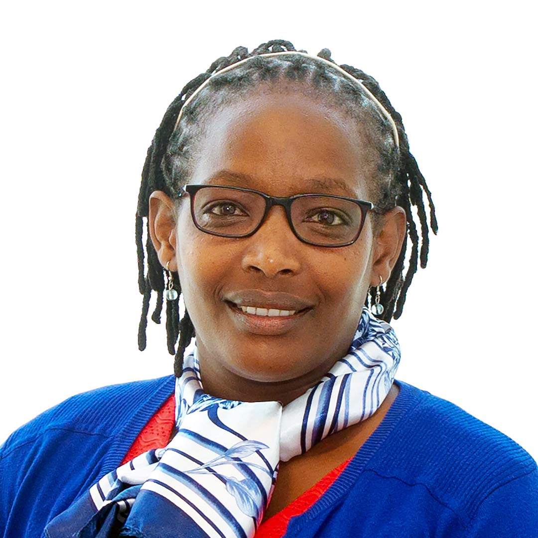 UR Sweden Programme tweet media