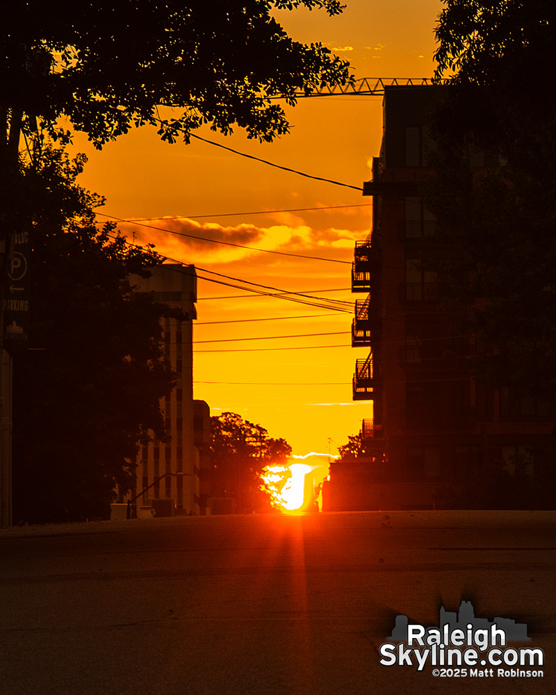 Matt Robinson tweet media