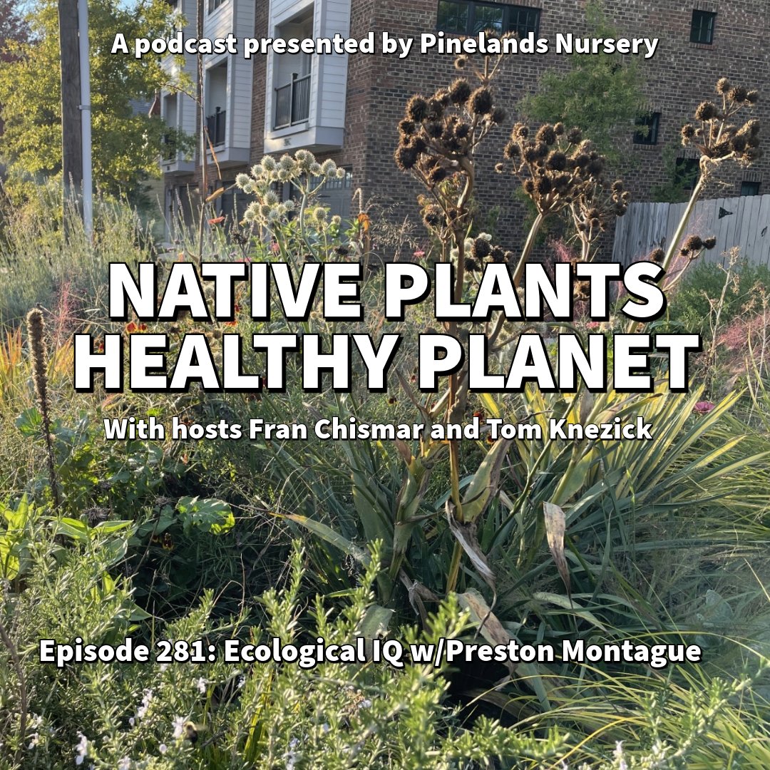 Tom &amp; <a href="/nativeplantfran/">Fran Chismar</a> connect w/ecological landscape architect Preston Montague. Topics include adding human elements to ecological landscapes, finding your niche in the ecological world, doing justice w/current projects, giving props to gardening heroes. bleav.com/shows/native-p…