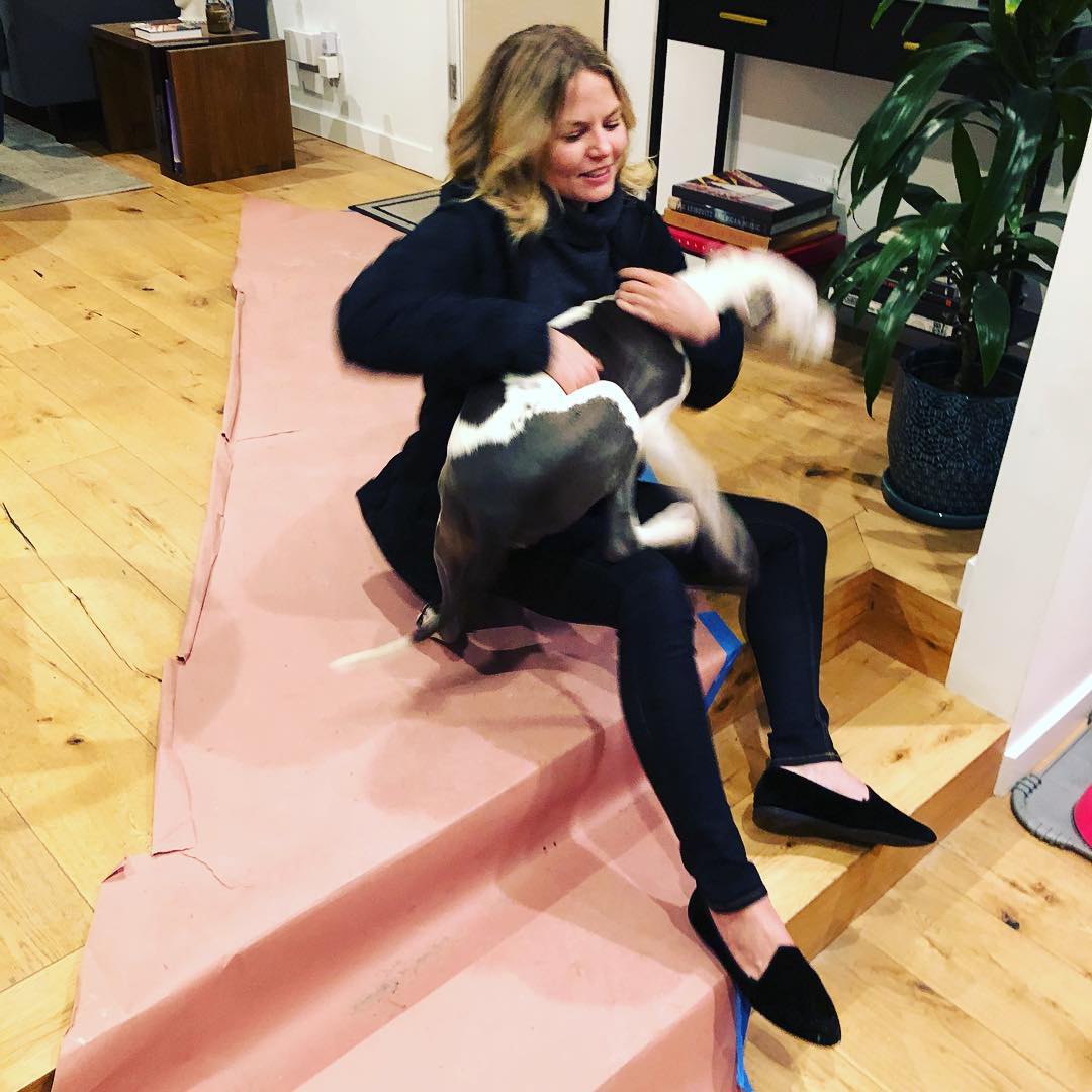 jmo_fan_'s tweet image. 🐶 For the #NationalDogDay we find our dog lover @jenmorrisonlive meeting her friend Genie Huvane , Chris Huvane dog at LA, in Chris's house.

« @genieandpapi and I met last night and didn't get alongat all 😉 #loveatfirstsight 😍😍😍 #Chrishuvane #doglover »
📅 February 22, 2019