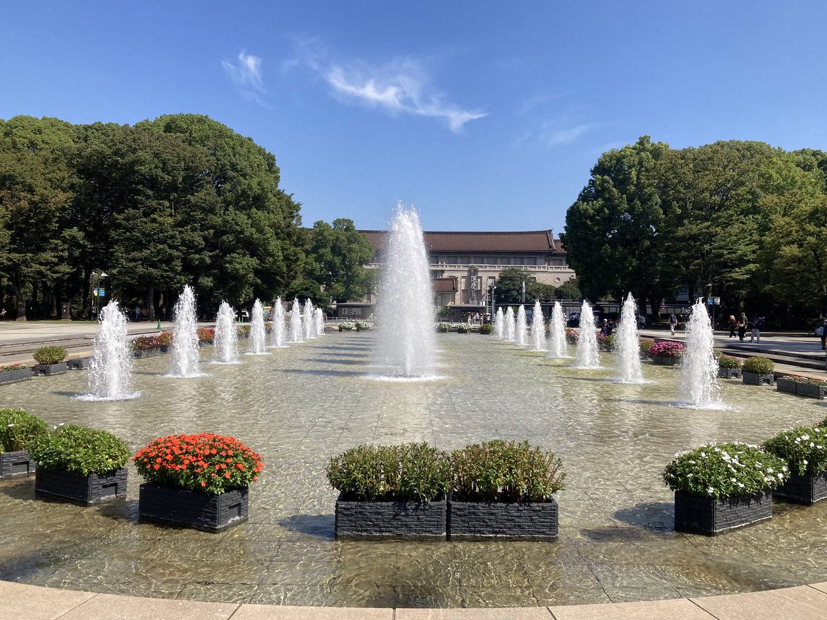TakeImage's tweet photo. 今日の上野は暑かったでごわす♪☀️📸🐢💦 https://t.co/M8jsTJvtXn