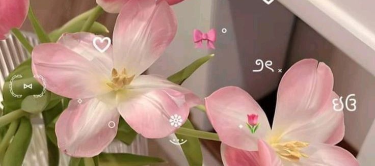 test pake pict, masuk? #zonauang