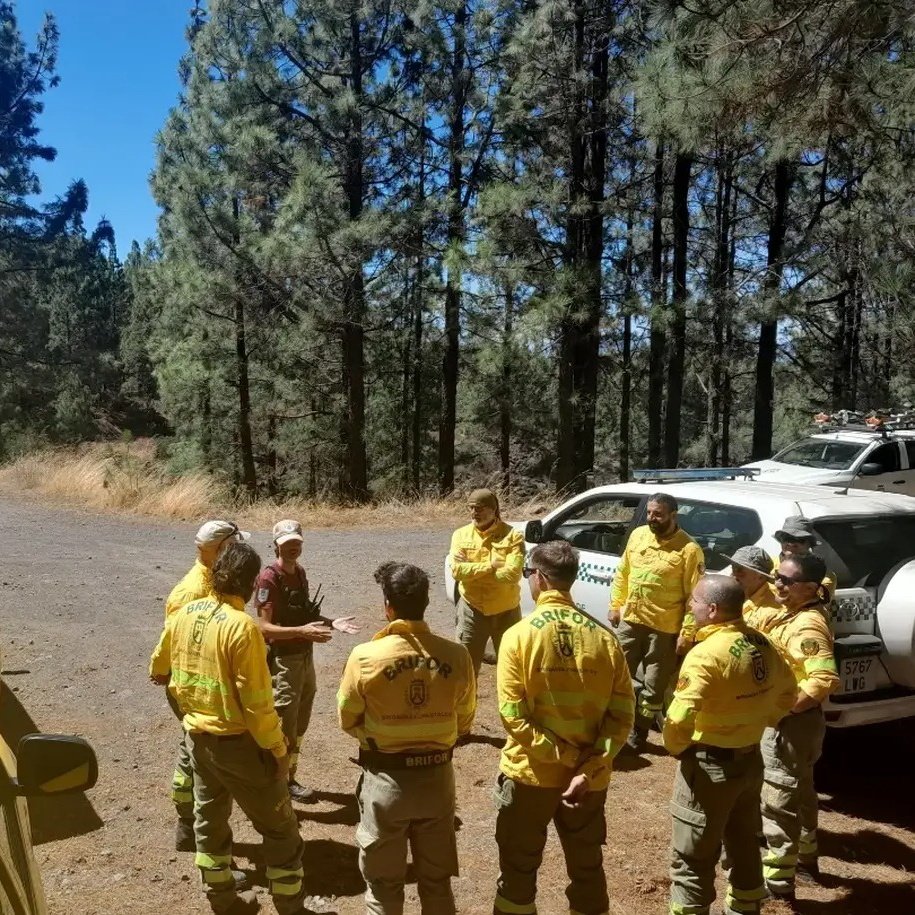 #AgentesdeMedioAmbiente del <a href="/CabildoTenerife/">Cabildo de Tenerife</a>, como mandos del operativo #BRIFOR, participan en el #simulacro 🌋, mediante un ejercicio de rescate de senderistas en zona de influencia de una supuesta erupción volcánica en #Garachico, #Tenerife. 

👀👇🏻 instagram.com/p/DPEQ_ZriCix/…