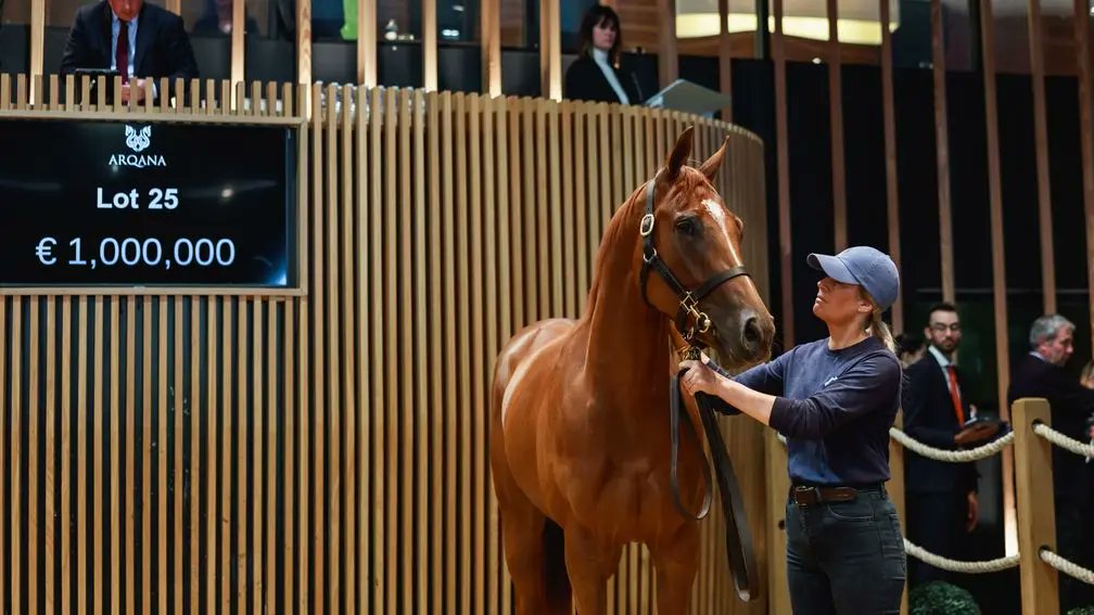 Racing Post Bloodstock (@rpbloodstock) on Twitter photo Sioux Nation filly Zanthos runs out an impressive winner of the Group 2 Rockfel Stakes. 
The Viktor Timoshenko and Andriy Milovanov-bred juvenile is out of the Listed-placed Pivotal mare Brioniya, making her a half-sister to stakes performer Bakhchisaray. 
She sold to Stroud Sioux Nation filly Zanthos runs out an impressive winner of the Group 2 Rockfel Stakes. 
The Viktor Timoshenko and Andriy Milovanov-bred juvenile is out of the Listed-placed Pivotal mare Brioniya, making her a half-sister to stakes performer Bakhchisaray. 
She sold to Stroud