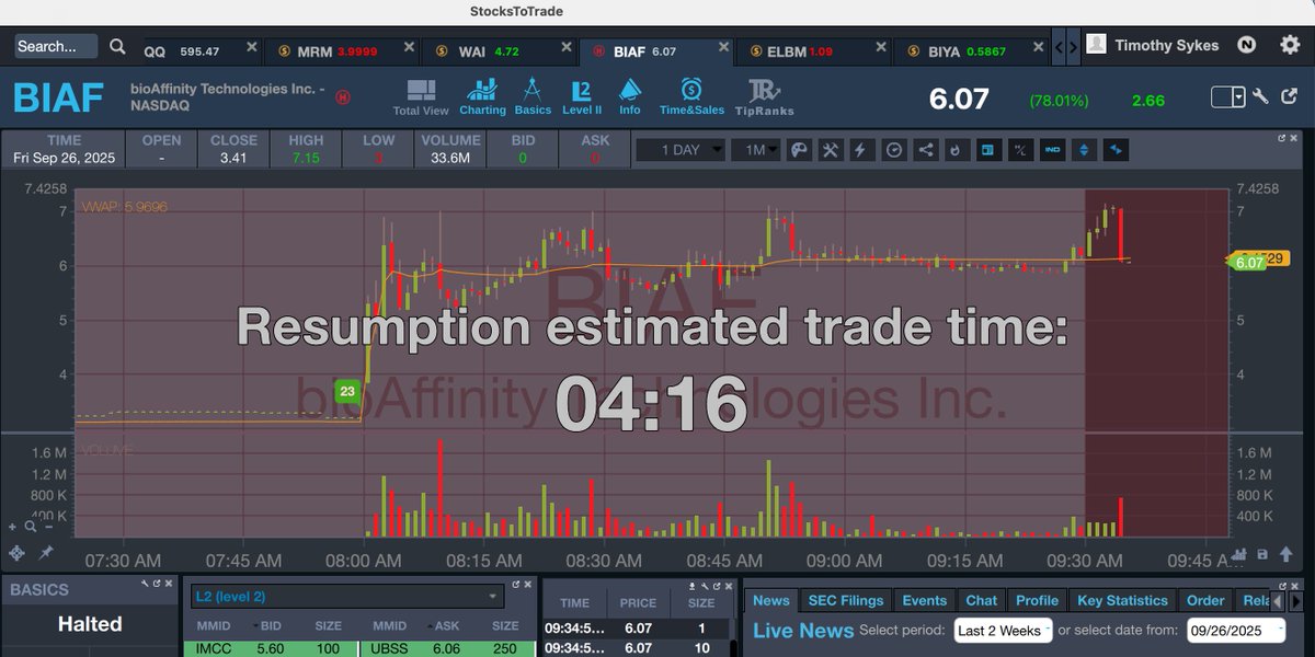 Timothy Sykes tweet media