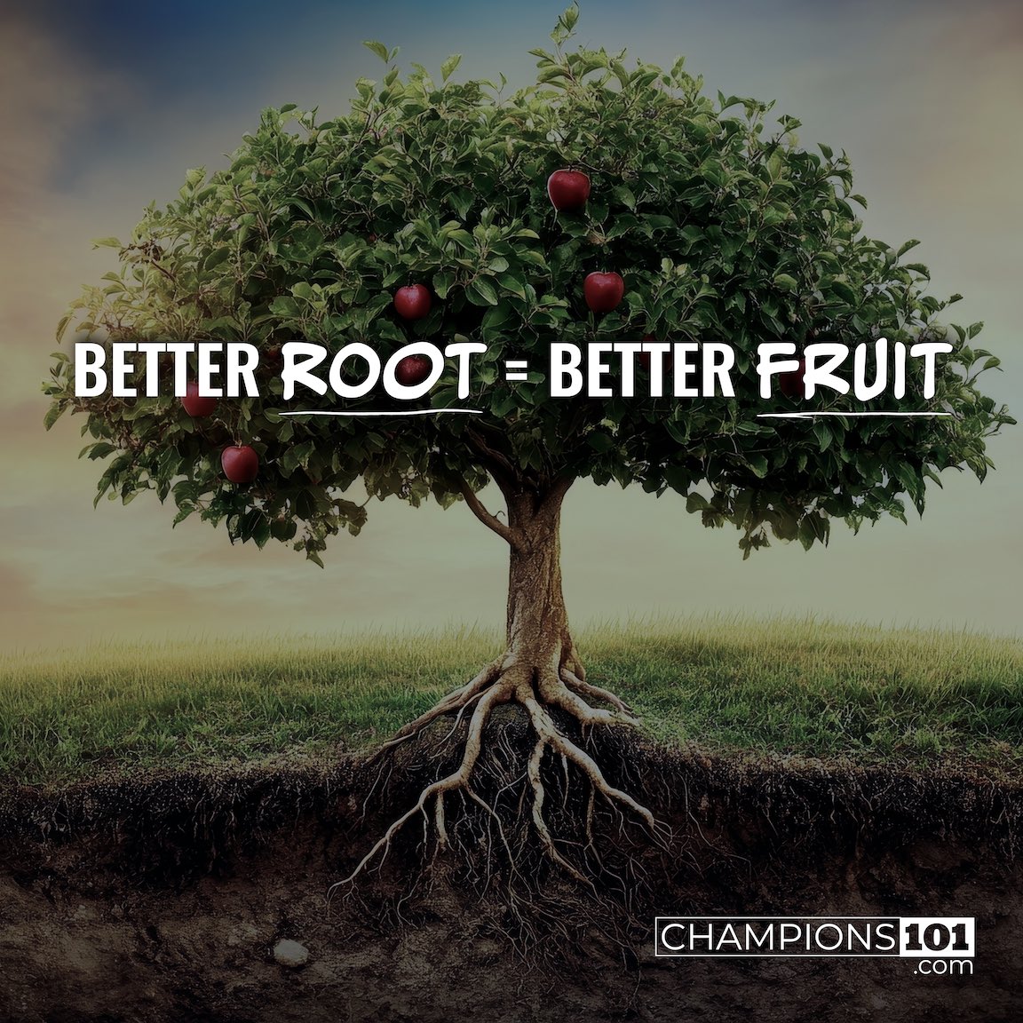 Travis Daugherty (@coachtdaugherty) on Twitter photo “No one can see our mindset, our attitude, or our perspective, and yet they are the primary determiners of our experience today.”
Read this week’s <a href="/Champions_101/">Champions 101</a> Newsletter, “Better Root = Better Fruit,” here: bit.ly/3VwZg7m “No one can see our mindset, our attitude, or our perspective, and yet they are the primary determiners of our experience today.”
Read this week’s <a href="/Champions_101/">Champions 101</a> Newsletter, “Better Root = Better Fruit,” here: bit.ly/3VwZg7m