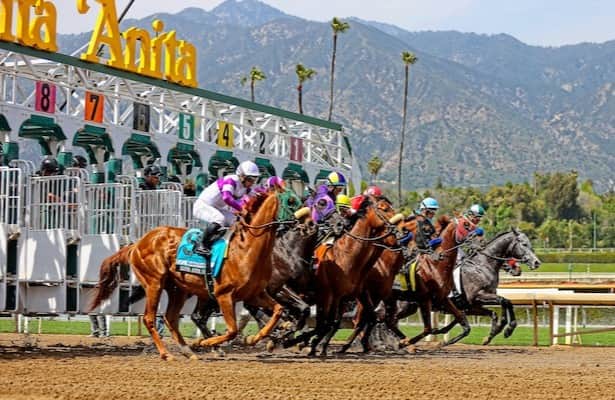 Head to Head: See two sides of every contender in the Goodwood, Saturday's Breeders' Cup Classic qualifier at Santa Anita.

horseracingnation.com/news/Head_to_H…

📸: Richard Steele / Eclipse Sportswire