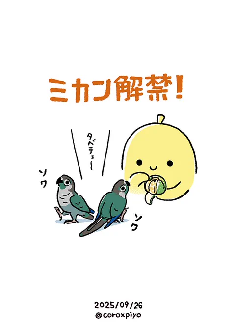 🍊 