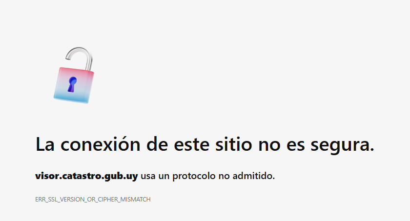 sm 🇺🇾 tweet media