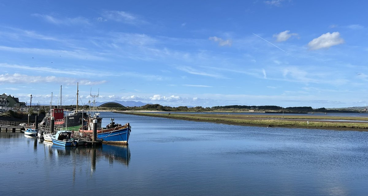 Melanie Nolan tweet media