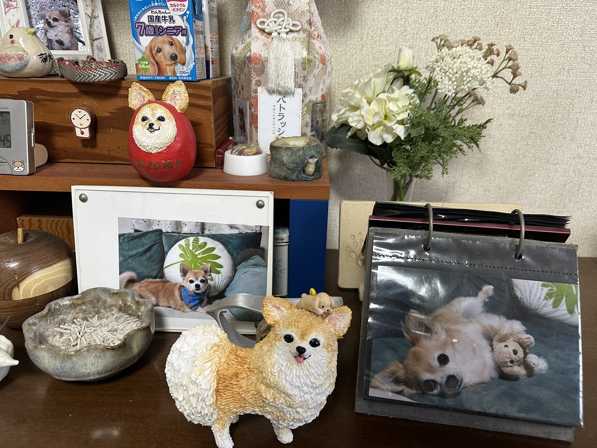 【札幌手渡限定】わんこ100% パトコロ (@patorush1010) / X