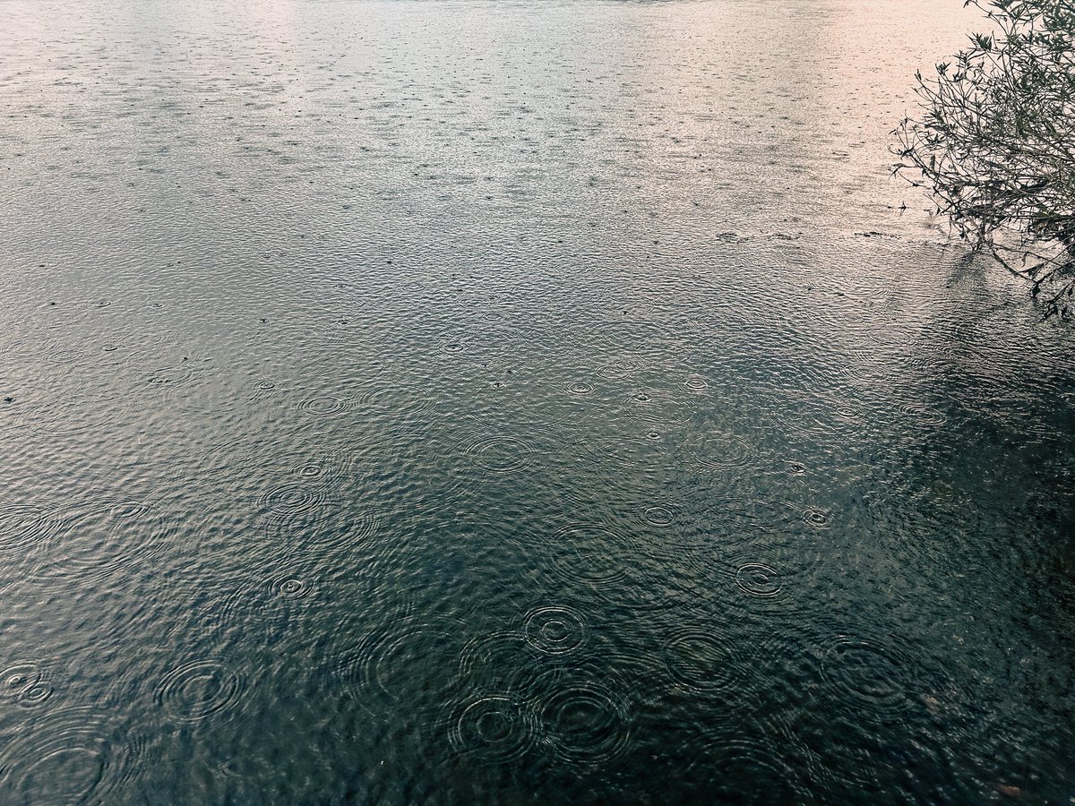 【週末おじさんぽ】

日本一大きく湖の
近くの
静かな湖畔

#snap
#photography 
#lake 
#おさんぽ