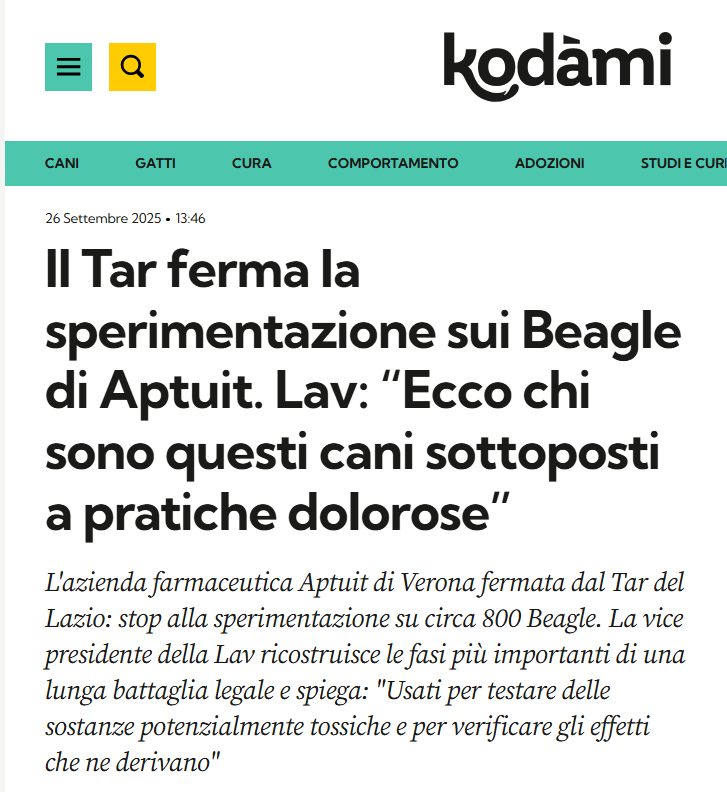 LAV_Italia's tweet photo. Una notizia che #LAV aspettava fin dall'inizio della sua battaglia legale. In salvo 800 beagle che hanno vissuto subendo le più atroci pratiche nei laboratori di sperimentazione di #Aptuit. L'intervista a Michela Kuan su @fanpage👇https://t.co/Lejy9Q9GYg https://t.co/tPdURpj4KF