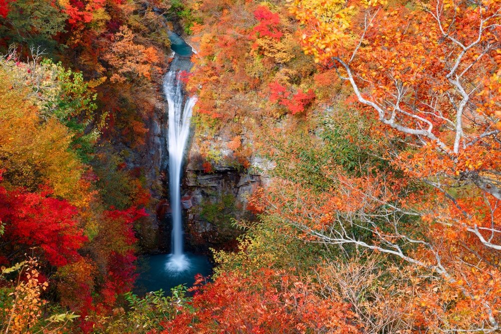 JRailPass | Enjoy Japan By Train tweet media