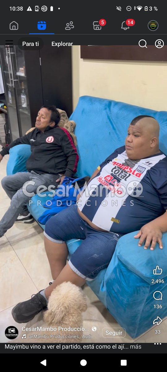 Peruanos culiaos feos weon jajajajaja