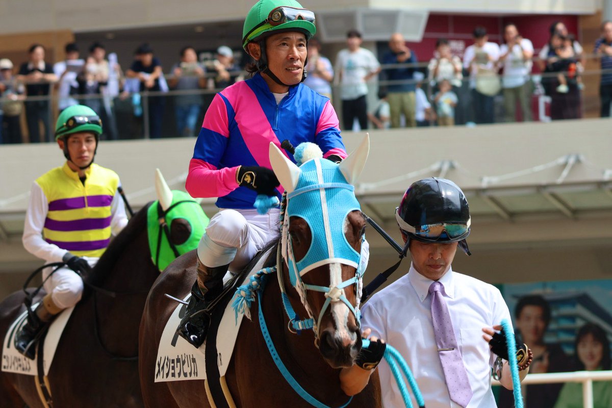 peace_smap's tweet image. メイショウピリカ🐴💖フルキチ

#メイショウピリカ
#古川吉洋
#阪神競馬場
