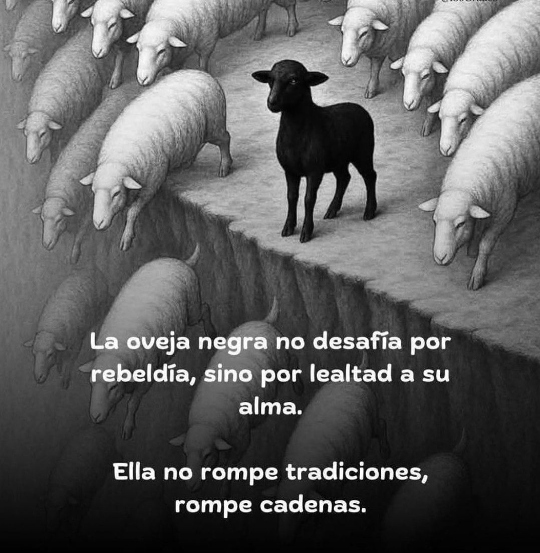 honordetigre's tweet photo. https://t.co/6amPu1egag