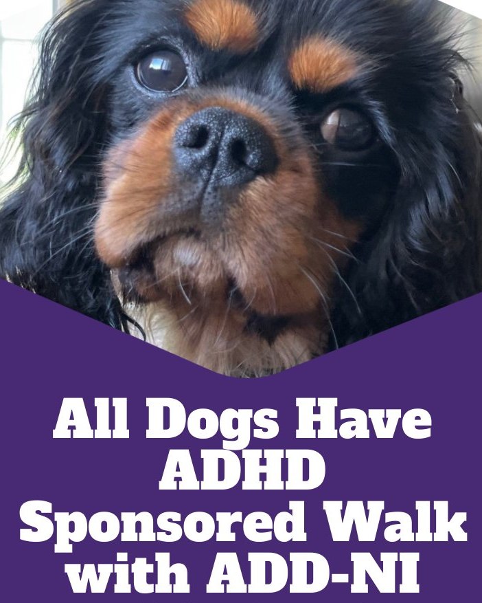 💜🐶 Join us Fri 10th October, Wallace Park, Lisburn 5.30pm to fill the park w pups &amp; their people in our Glow Walk for ADHD
🎉 Entry is free – but your donation makes a real difference.
👉 Donate now &amp; share the love:
🔗 justgiving.com/page/adhddoggl…
#letsglow #adhd #dogs #allwelcome