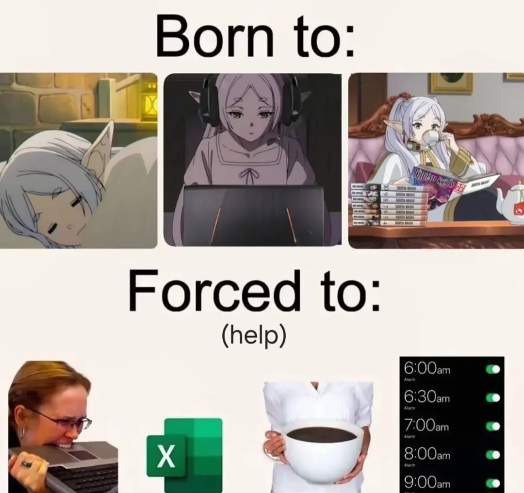 anime_daily's tweet image. 