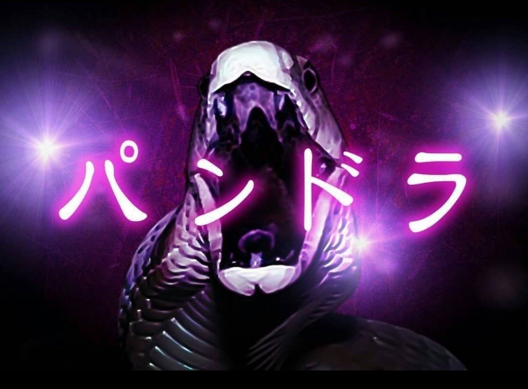 パンドラオープンしました🌺

本日のメンバー

Amanda
よび

お待ちしております🤗

#新宿二丁目
#ミックスバー #ゲイバー
#レズビアンバー  #レズバー 
#LGBT #LGBTQ #セクマイ
#パンドラ