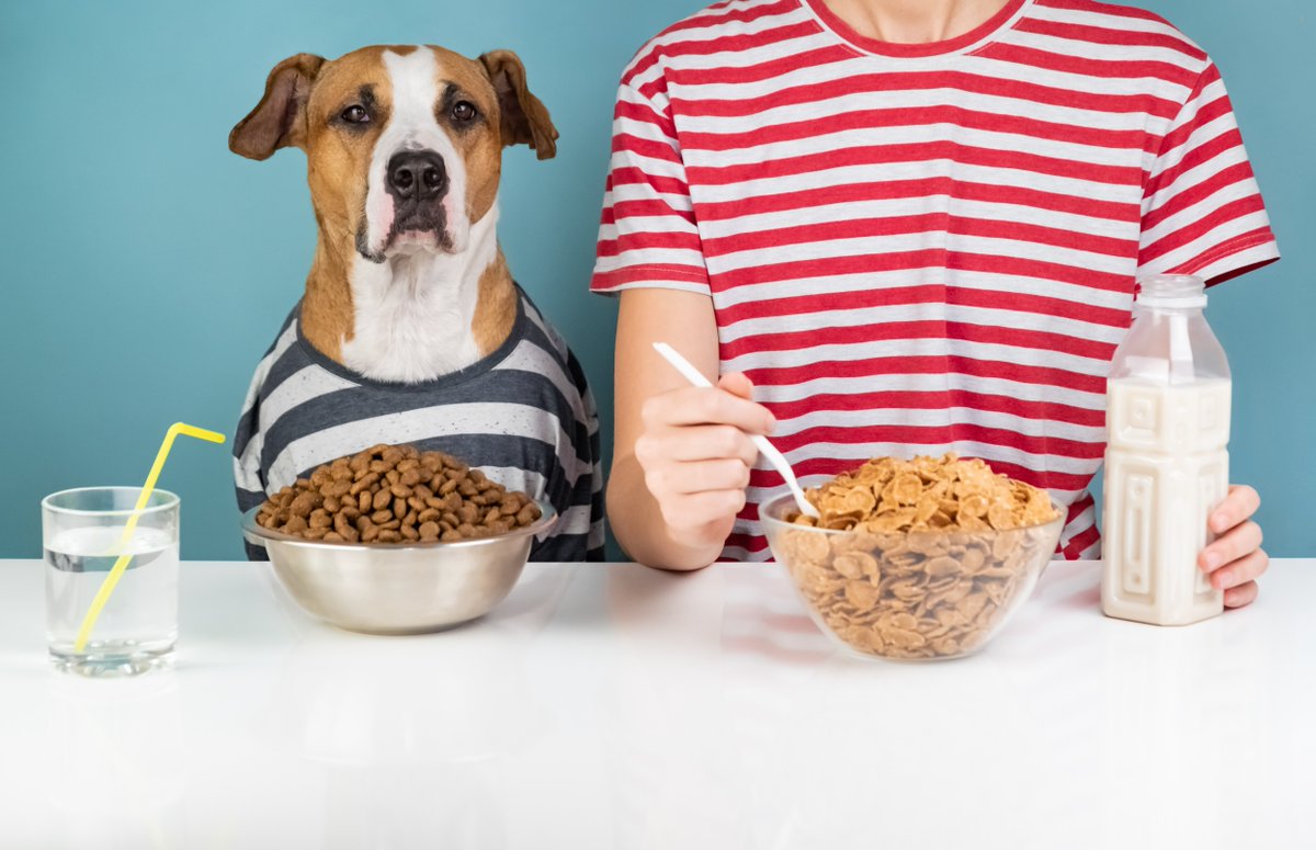 binmasterusa's tweet image. Pet food producers are embracing high-quality, fresh ingredients—crossing the processing threshold between food for pets vs. people. BinMaster sensors &amp;amp; software serve efficiency &amp;amp; cost-savings to both! okt.to/m9Ow8e 🍗 #SmartProduction #PetFood