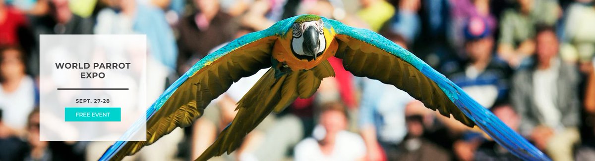 World Parrot Expo

Saturday &amp; Sunday, FREE

emeralddowns.com/event/world-pa…
