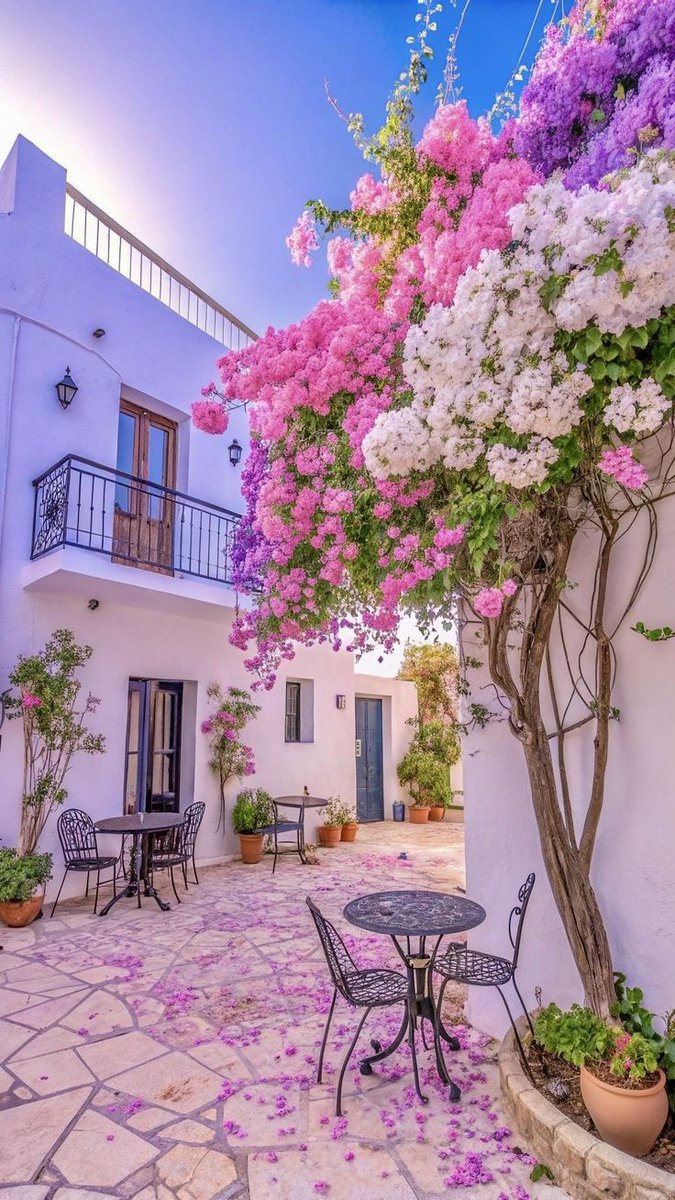 Flowers and Gardens 💐🌹🌺🌷🌸 (@beauty_lovers11) on Twitter photo 