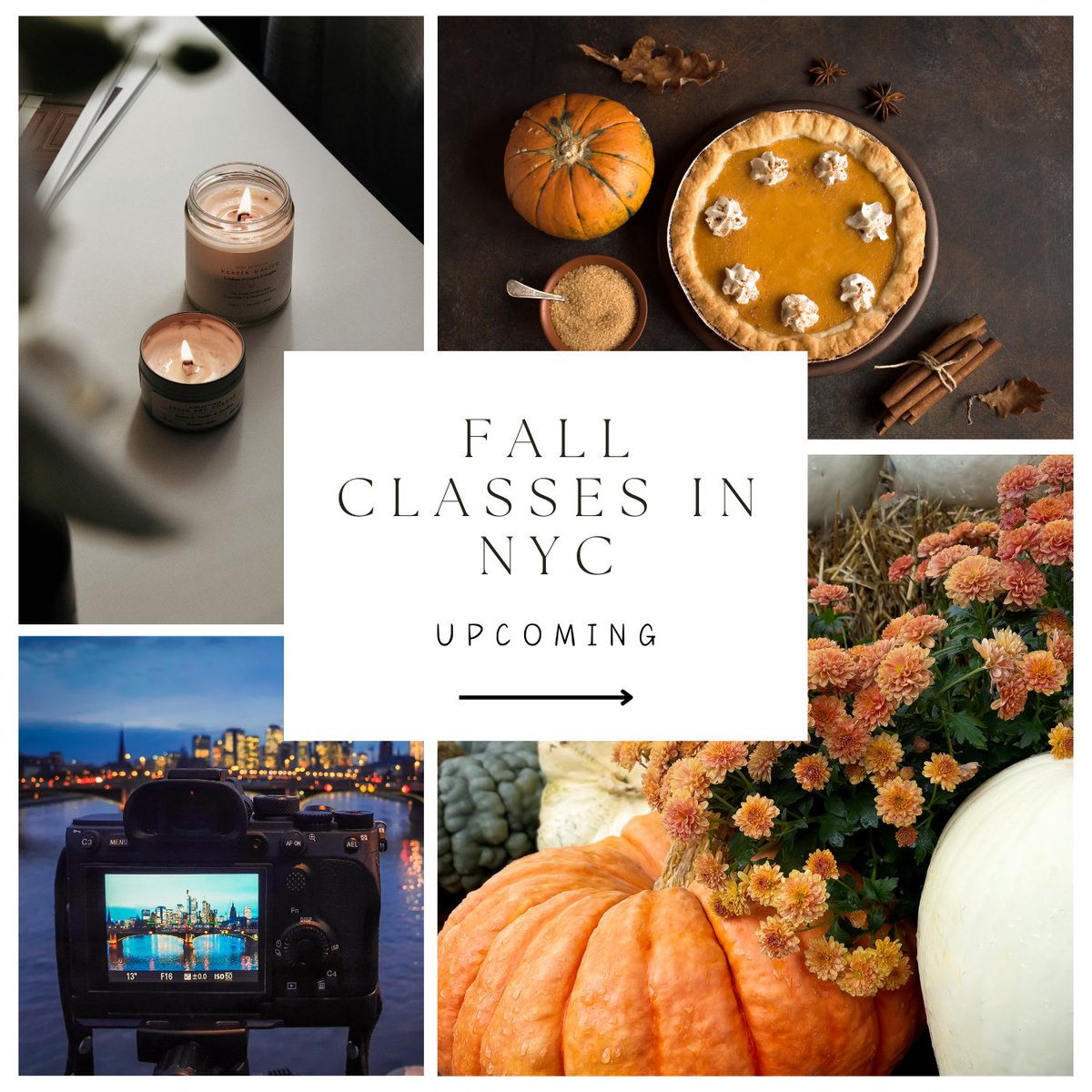 CourseHorse tweet media