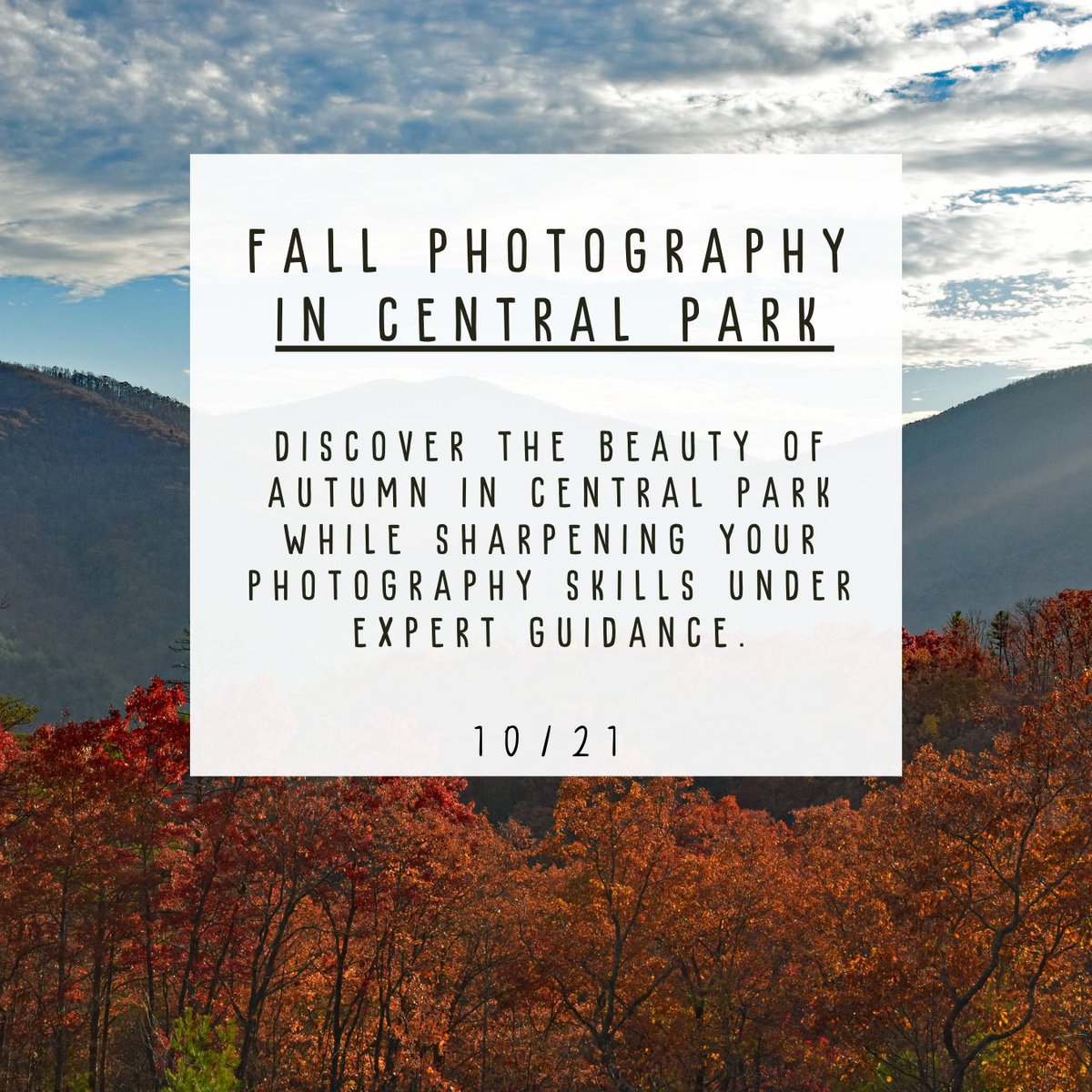 Fall is the perfect season to try something new! Our upcoming NYC classes are here to make your autumn unforgettable. #fallnyc #coursehorse
