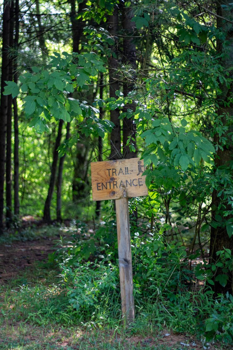 longpointca's tweet image. Happy #NationalForestWeek 🌲Wondering how you can celebrate? Take a stroll through local trails, plant a tree or a couple ...and of course, always be mindful of the vital ecosystems around us! #forestmanagement