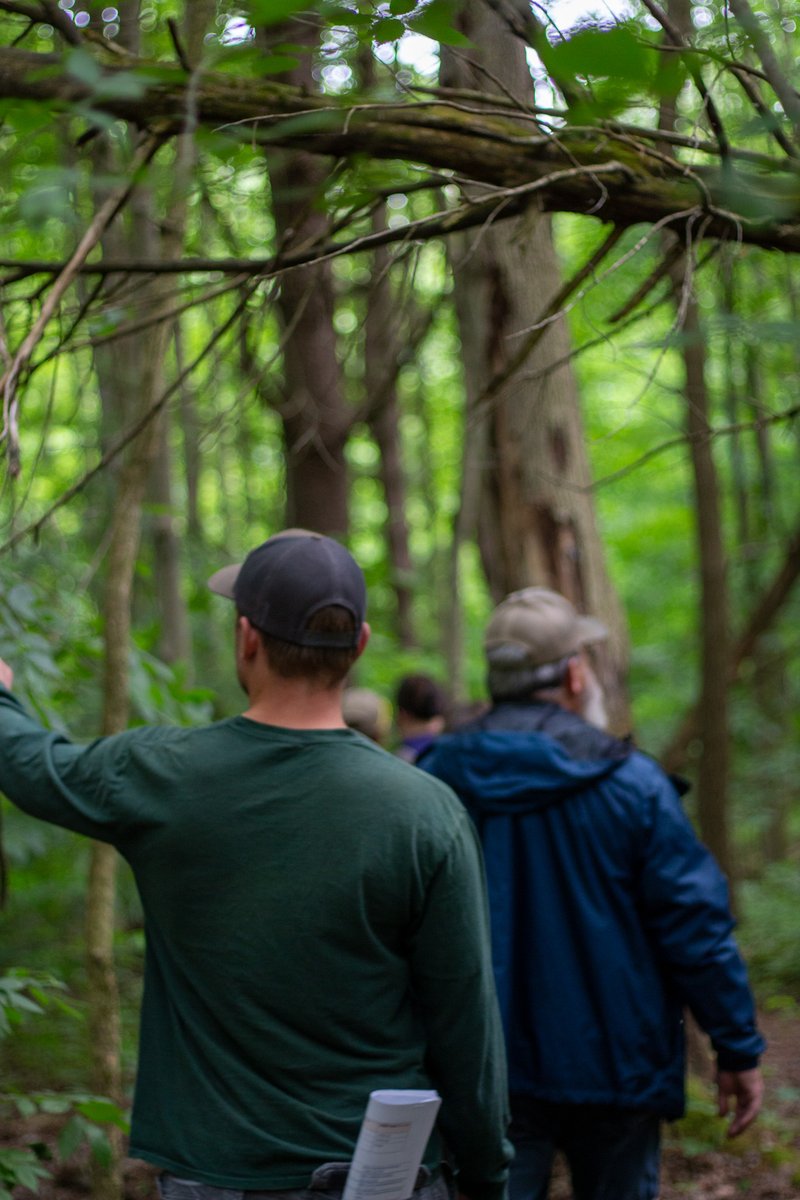 longpointca's tweet image. Happy #NationalForestWeek 🌲Wondering how you can celebrate? Take a stroll through local trails, plant a tree or a couple ...and of course, always be mindful of the vital ecosystems around us! #forestmanagement