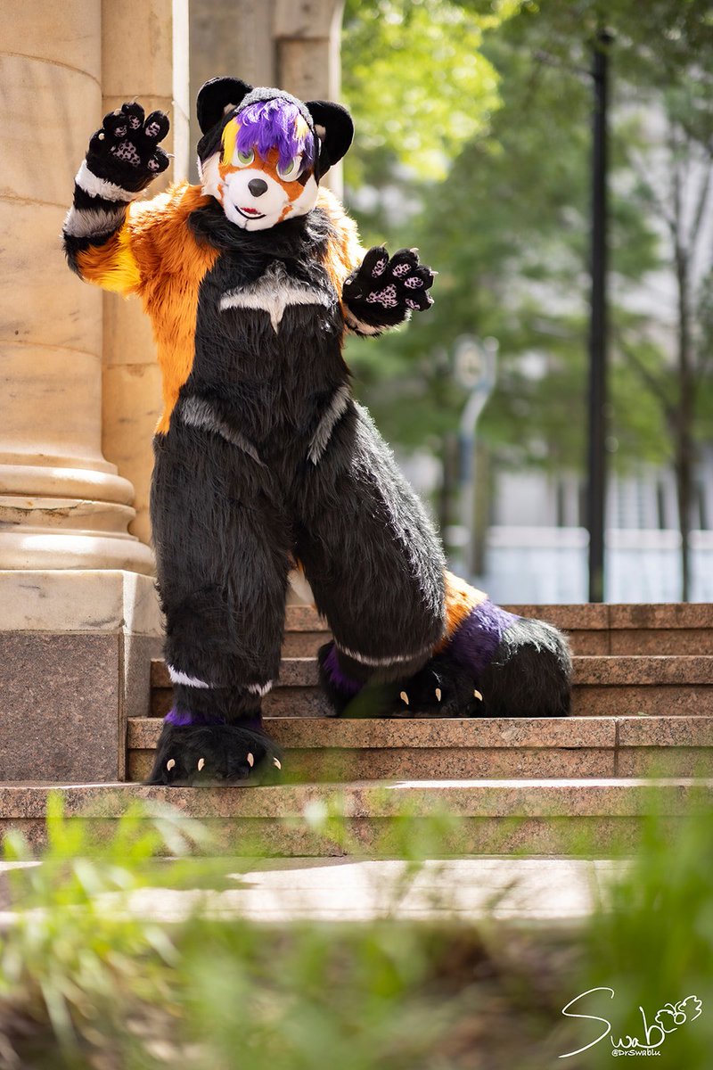 WAAAAAHHHH 
#fursuitfriday
Photo by Dr swablu
