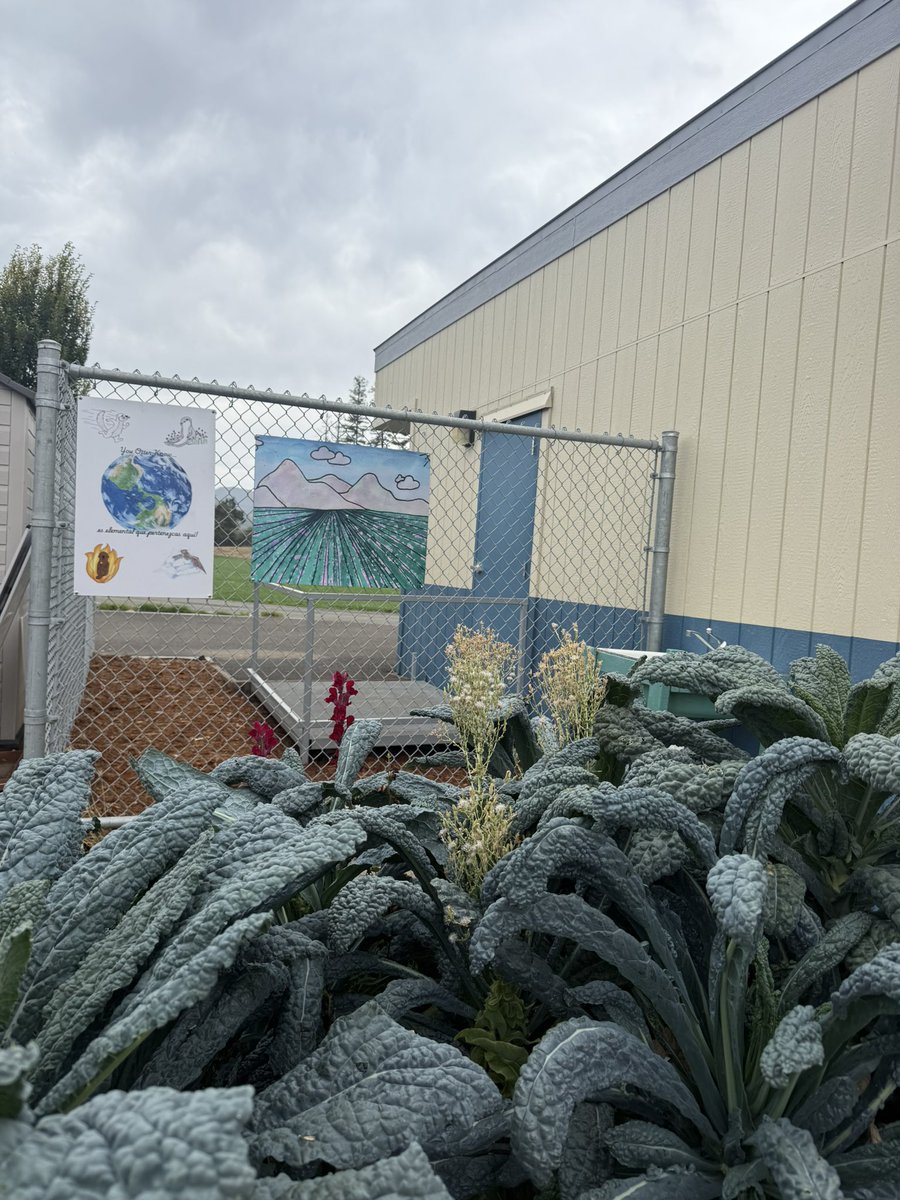 KarilyCruz's tweet photo. ๐ฟ๐จ Otter Artwork Blooms in the Garden! ๐ฆฆ๐
Two beautiful student pieces now brighten our Unidos Garden!
๐ผ๏ธ 2024โ25 Yearbook Cover Collab: Belen, K. Fleming, Emilia, Ari & Avellana
๐จ Watercolor of Napa Valley by Elle N.
#UnidosOtters #OtterPride #ArtfulLearning https://t.co/UHc3LGZxss