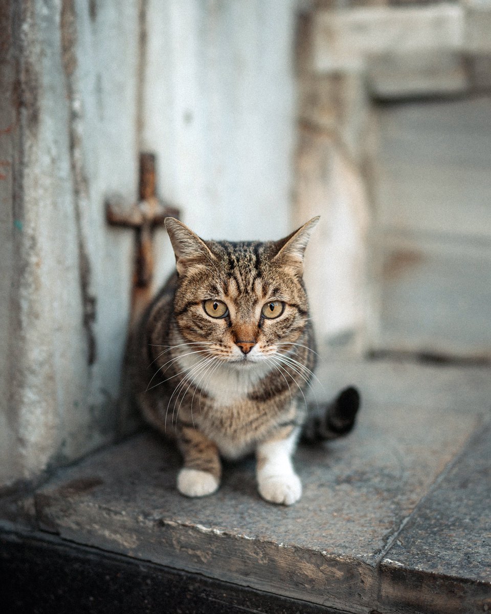 exploring the streets of Istanbul