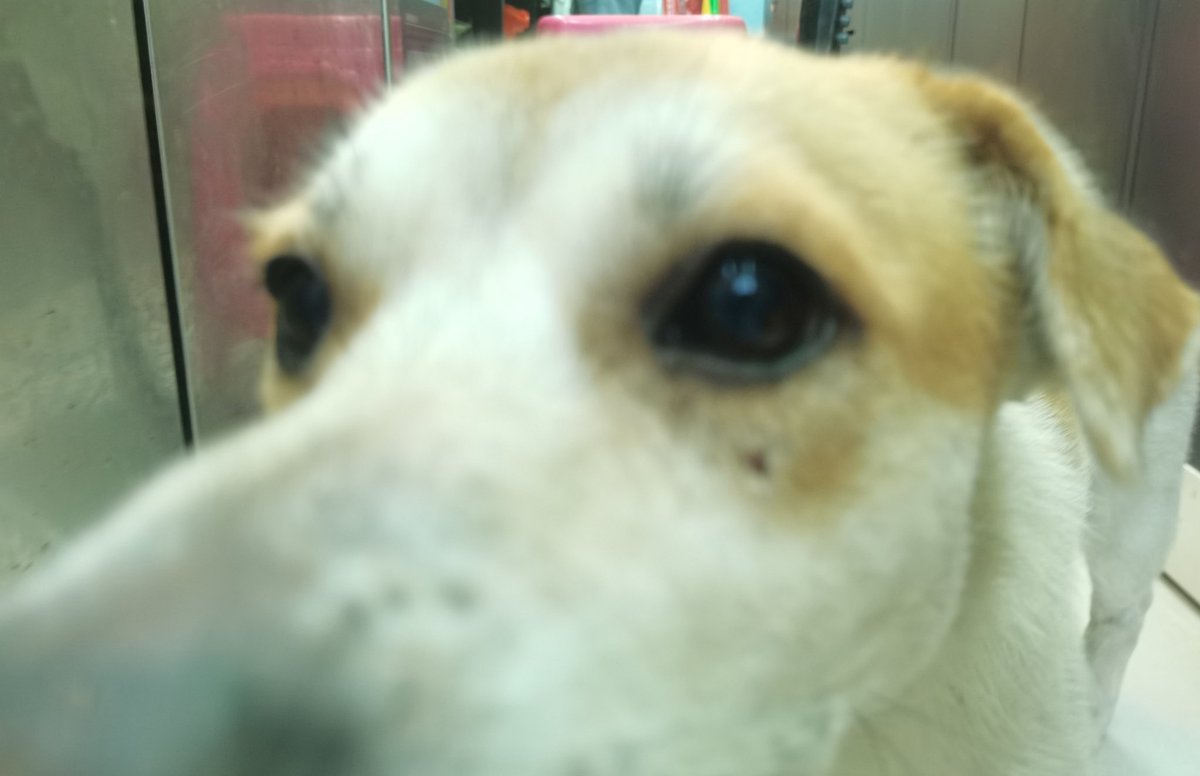 木水水 (@mshushu771702) on Twitter photo 