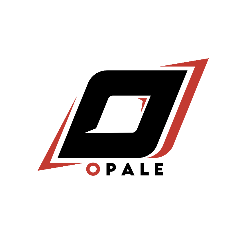 Opale___ESP's tweet image. J-1 (Annonce officielle)
C’est officiel : La OPALE ESPORT de retour.
Compétitions, événements, projets pédagogiques et communauté seront au cœur de cette nouvelle aventure.
L’histoire continue, avec vous.
#Esport #gaming
