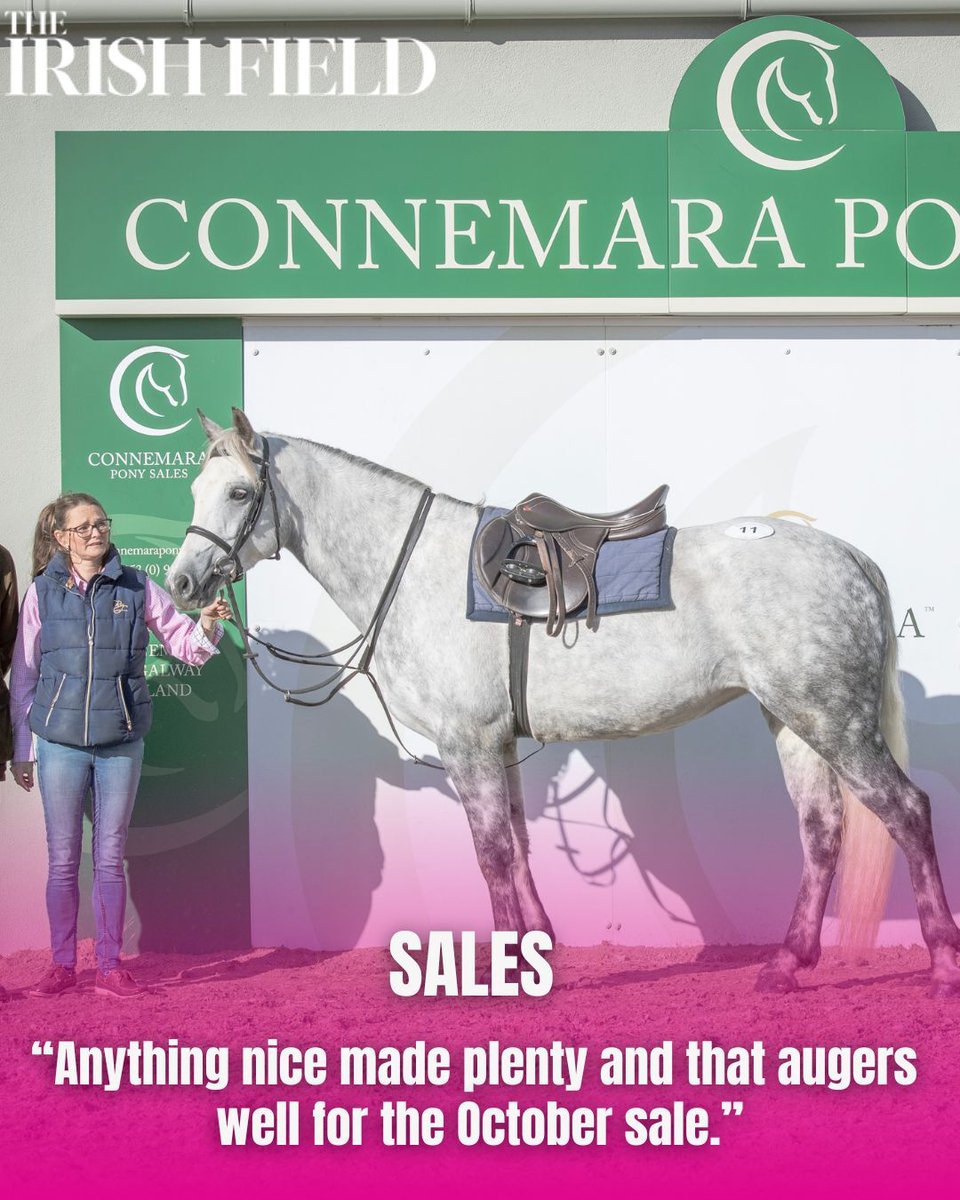 The top price at last Sunday’s one-day Connemara Pony sale in Clifden was €10,000, just exceeding that of the same renewal last year, reports Lesley Hunter-Nolan in The Irish Field this weekend
eu1.hubs.ly/H0np9rc0