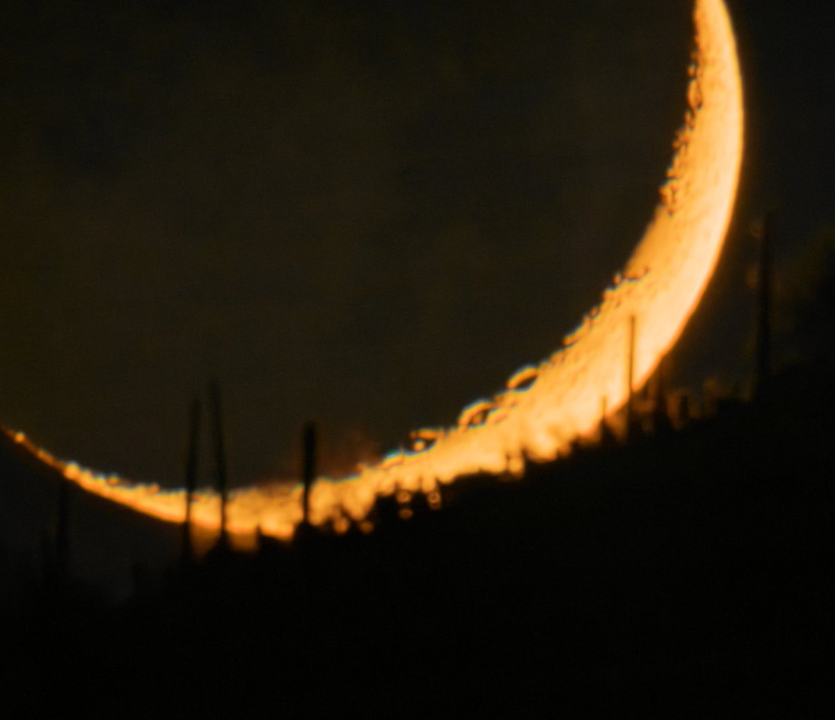 AJamesMcCarthy's tweet image. The atmosphere can make focusing on the moon low in the sky a bit tricky, but it makes for some gorgeous scenery