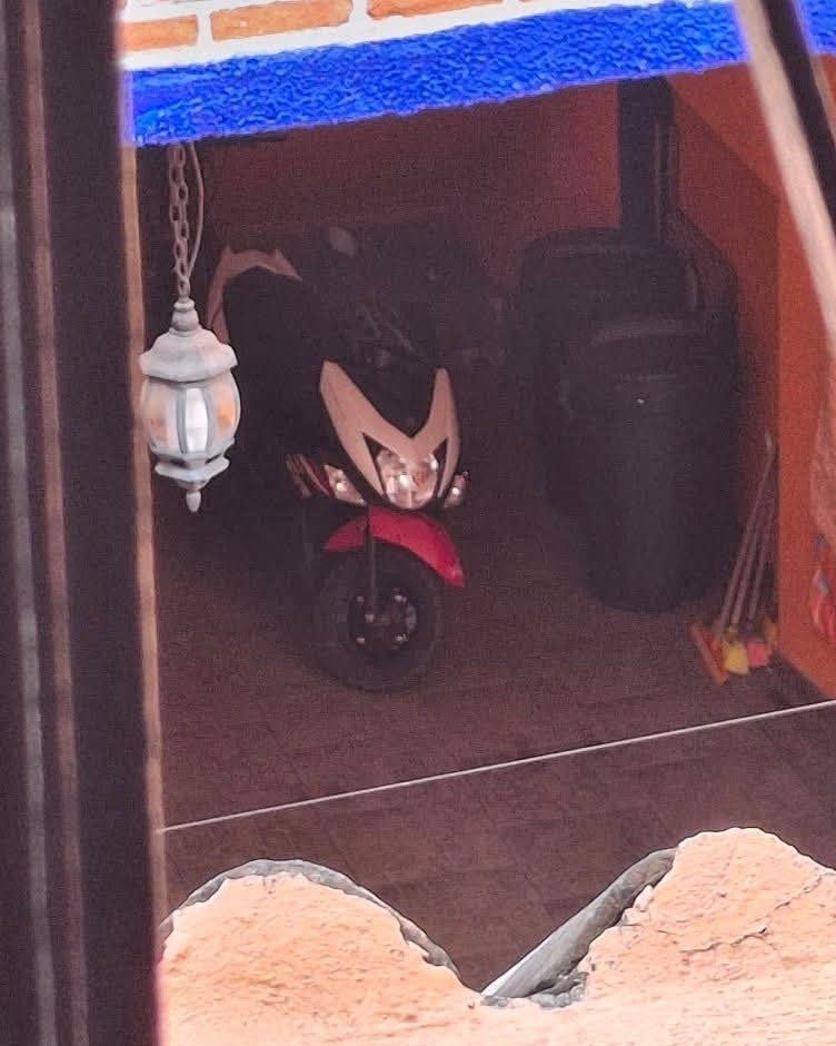 El Fedelobo tweet media