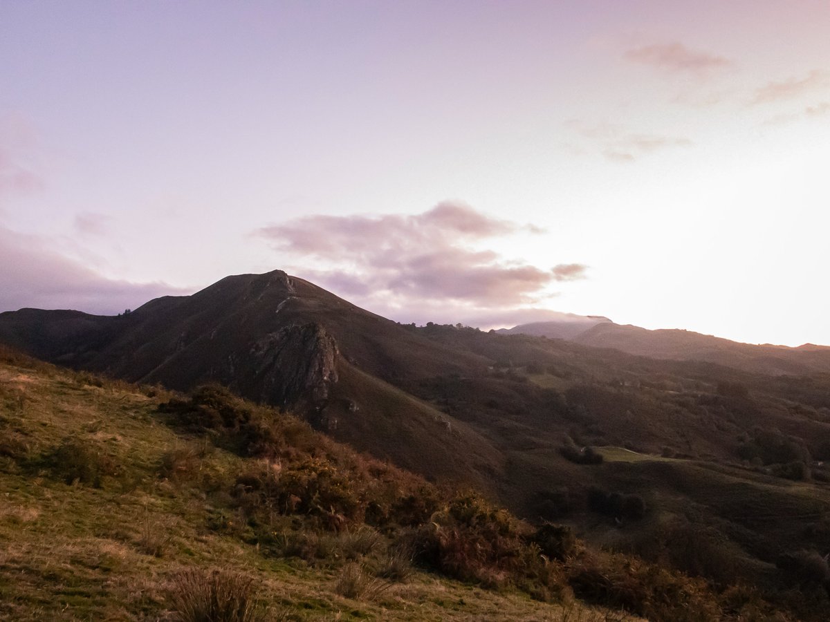 Anoche subimos a la montaña a ver venados porque estaban berreando a tope y veíamos uno desde casa. 
Obvio que cuando llegamos ya no estaba, pero el paseo tuvo recompensa, un zorrito y un atardecer precioso. ♥