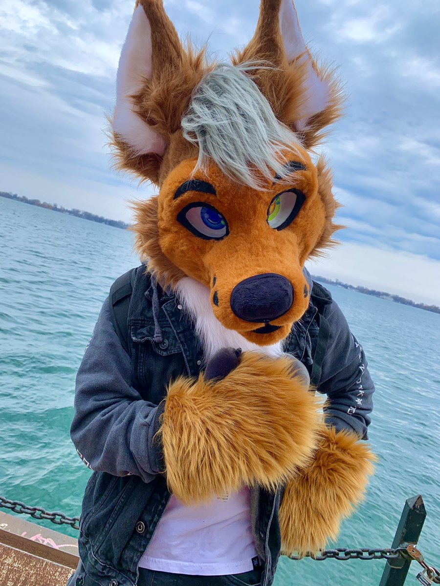 Happy #FursuitsFriday everyone!!! 
&gt;:3