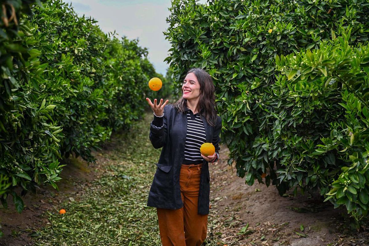 camila_vallejo's tweet photo. ¡A México los pasajes la naranja chilena! 🇲🇽🤝🇨🇱 Chile y México acordaron la apertura de mercado para las naranjas chilenas, fortaleciendo nuestra relación con un socio clave y abriendo nuevas oportunidades para el sector agrícola de nuestro país. 

Esta es una excelente noticia para nuestra industria y nos posiciona competitivamente en unos de los mercados más importantes del mundo, ya que sólo se exportaba este producto desde los Estados Unidos de forma exclusiva. ¡Así avanza el campo chileno! 🍊🙌