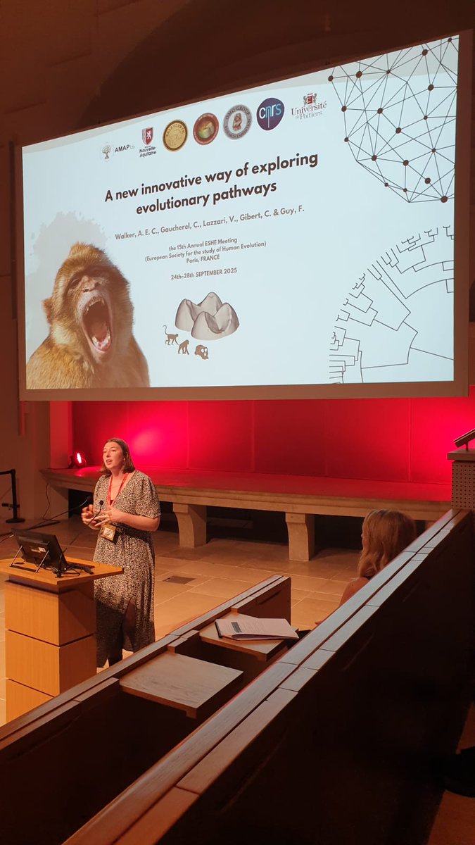 palevoprim's tweet photo. #eshe2025 en fin de matinée, une présentation de @AxelleWalker @palevoprim "Exploring the evolutionary pathways of the catarrhine dental diversity with possibilistic models" @CNRSecologie @Inrap https://t.co/m1XdWgtHBA