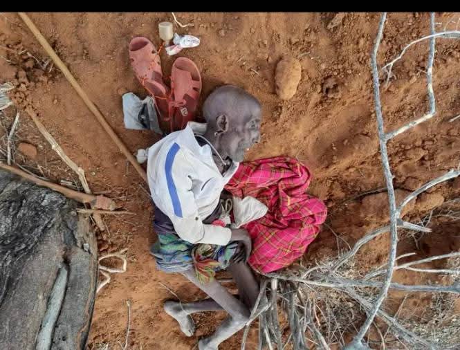 TutorBennie's tweet photo. Kenyan Hypocrisy on another level. Millions on private jets, millions on traveling. Talking about Haiti yet your country men are dying in samburu for lack of @FOOD @WFP @UN @WilliamsRuto @honkabogo. Sad indeed. https://t.co/9AD3sUN7CD