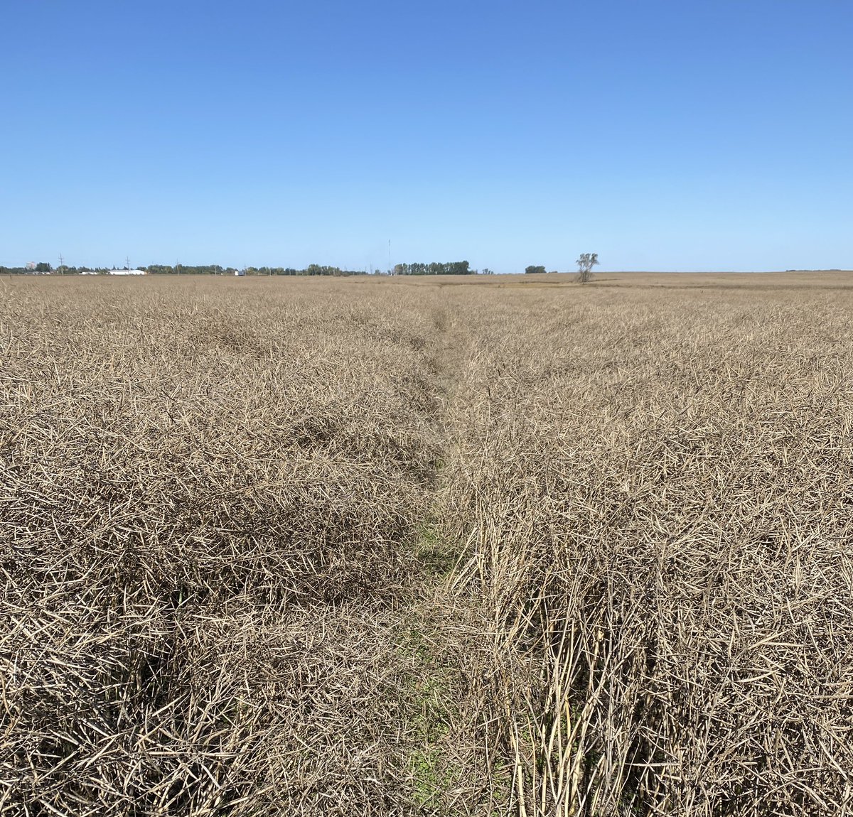 CW Jay Whetter tweet media